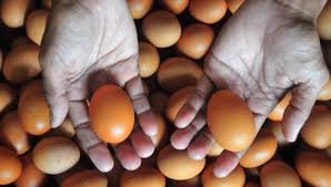 Kenaikan Harga Pangan Global: Ancaman Serius bagi Stabilitas Ekonomi Domestik 3 Kerentanan terhadap Ketahanan Pangan Nasional Kenaikan Harga Pangan Global